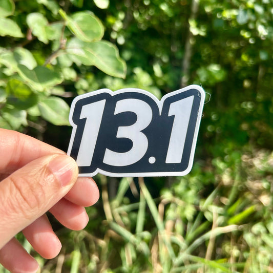 You've Gone the Distance - 13.1