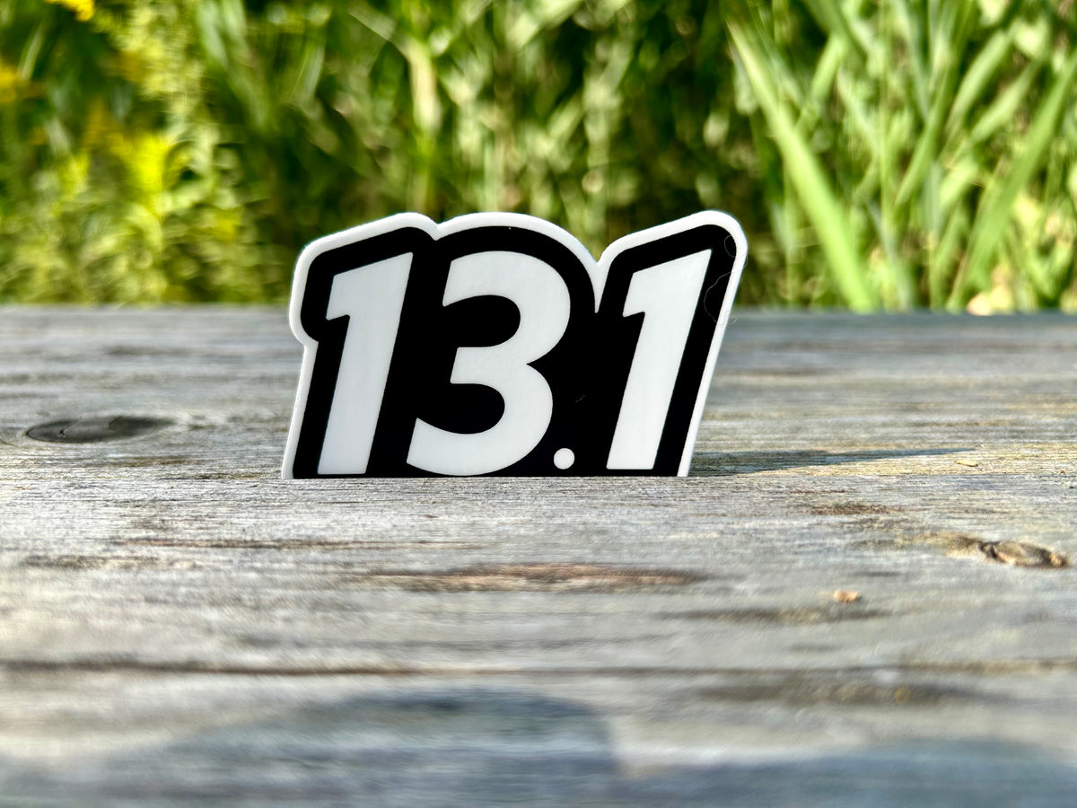 You've Gone the Distance - 13.1
