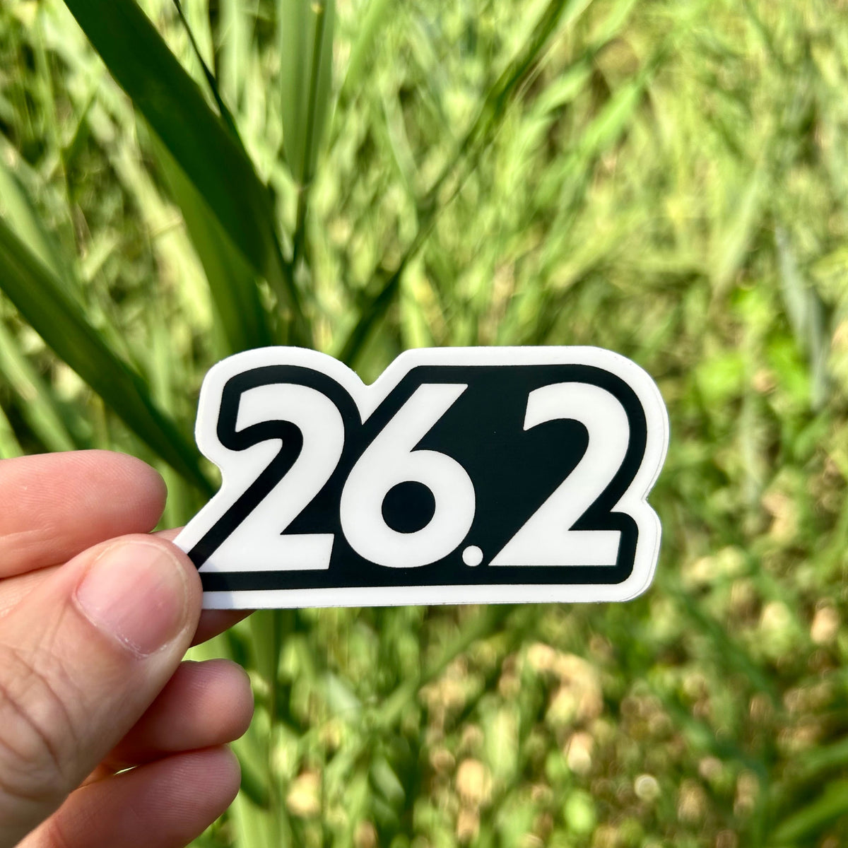 You've Gone the Distance - 26.2
